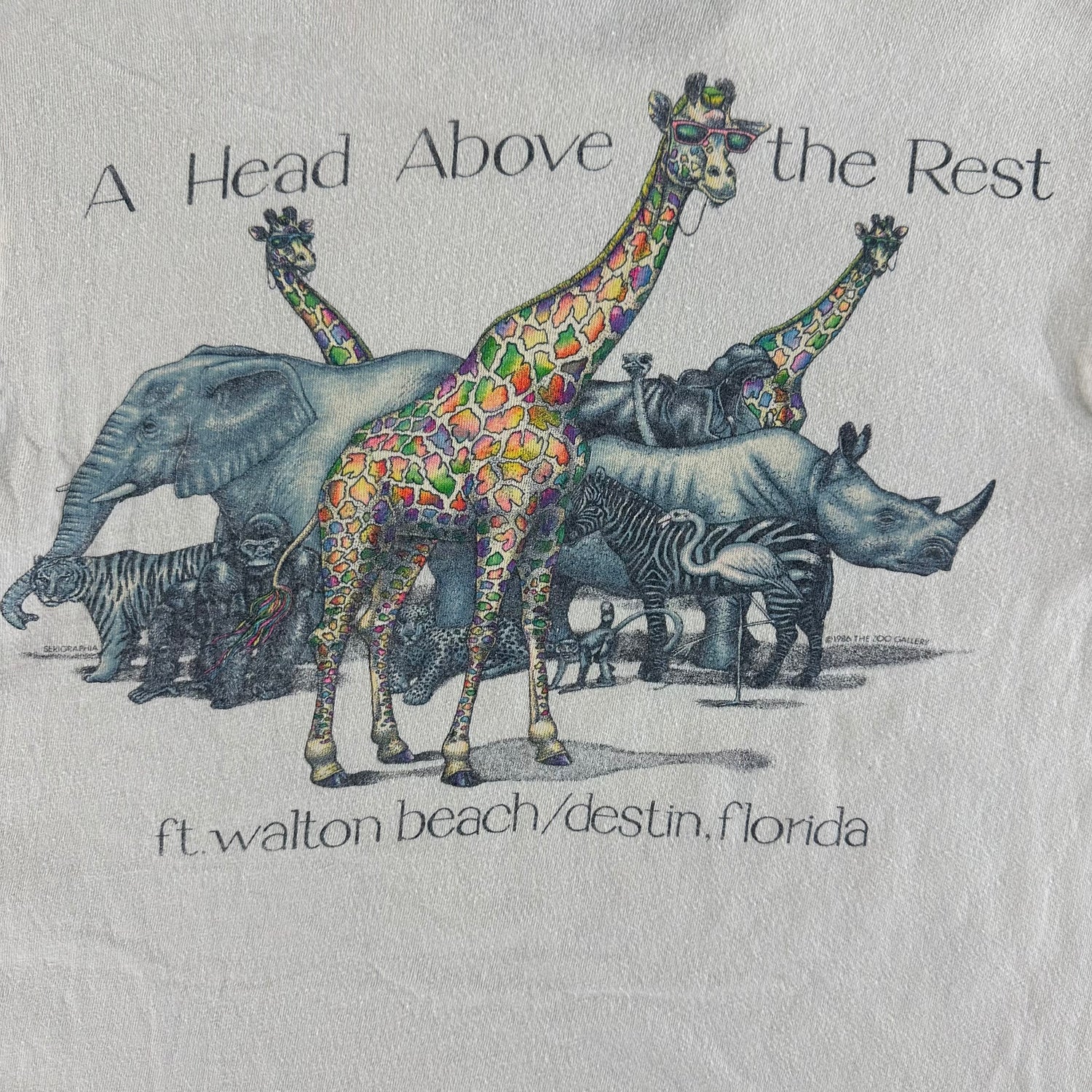 Vintage 1986 Zoo Gallery T-shirt size Small