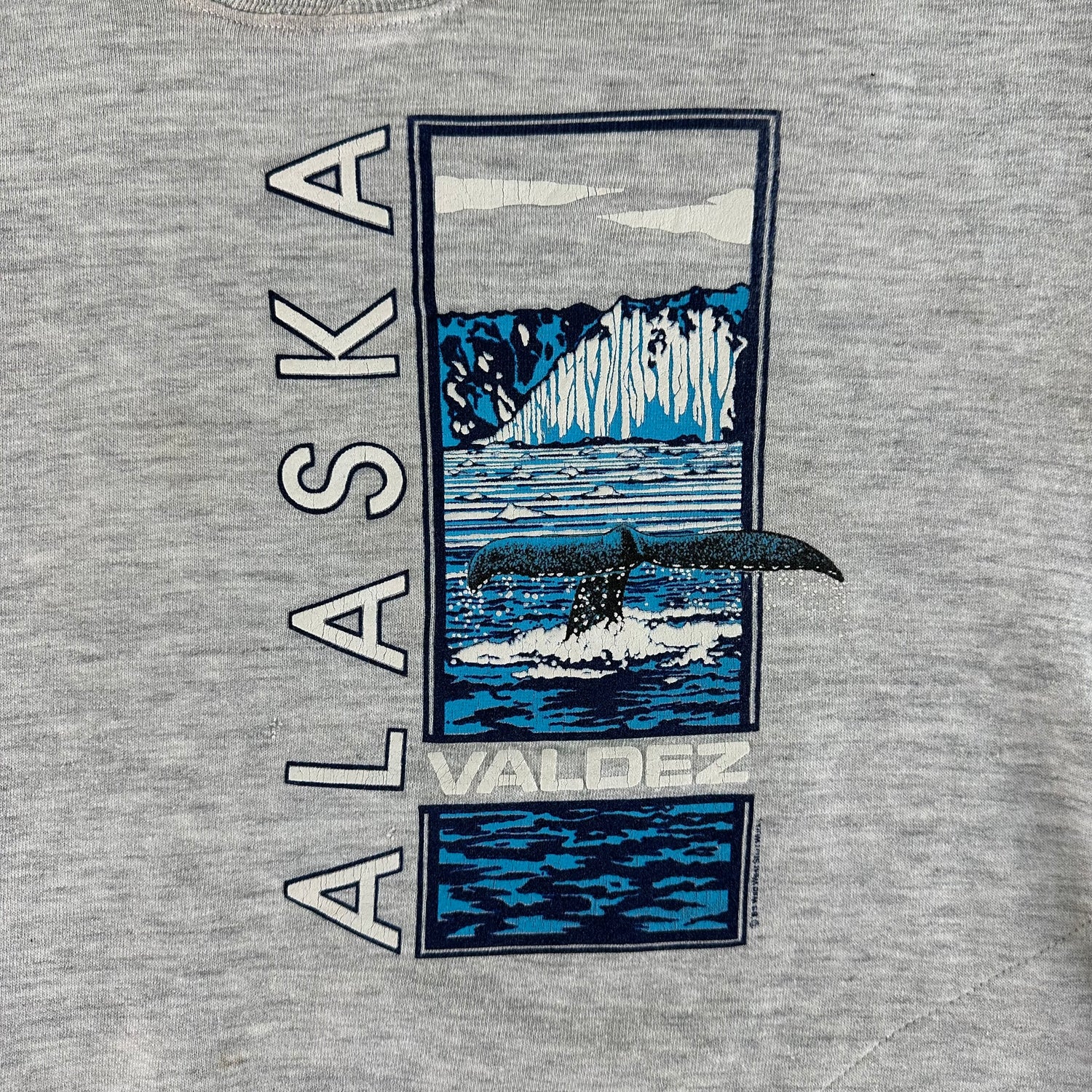 Vintage 1990s Alaska Sweatshirt size XL