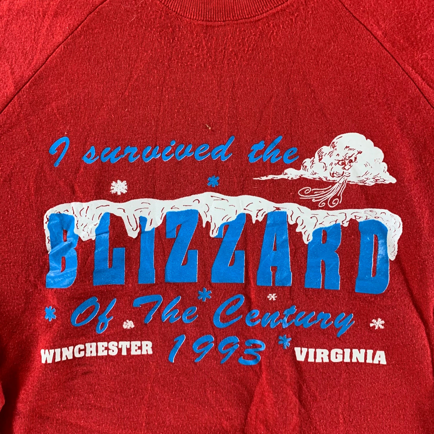 Vintage 1993 Virginia Blizzard Sweatshirt size XL